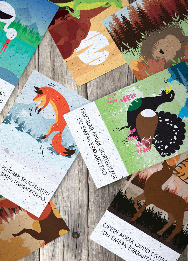 illustration graphisme designer hegalaldia pays basque